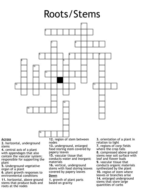 Here are the possible solutions for "A fleshy, underground stem (as in the potato) or root (as in the dahlia)" clue. . Underground stem base crossword